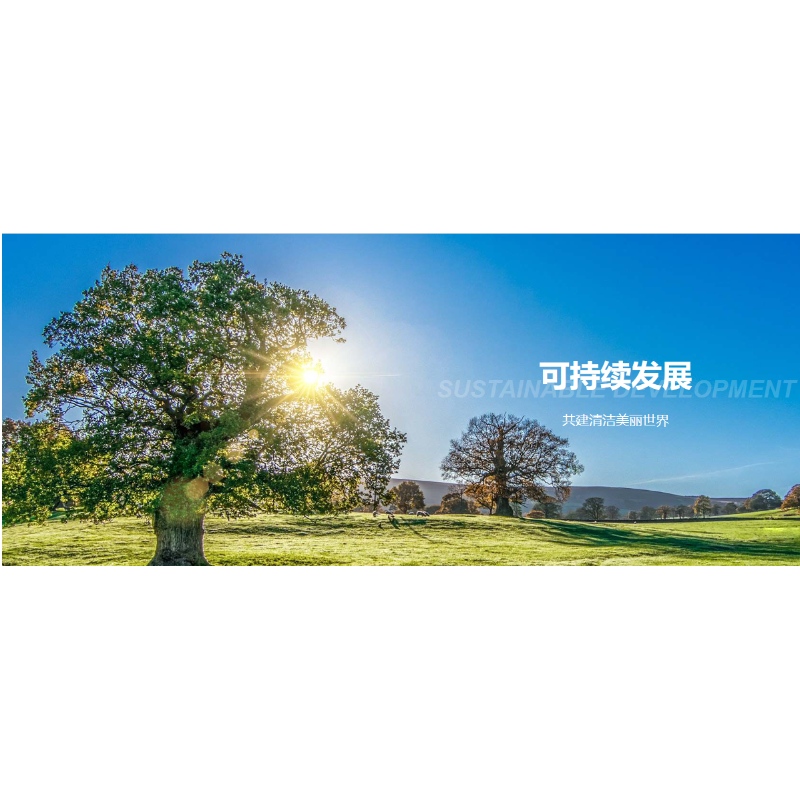 نحن هنا دائمًا مع أشعة الشمس