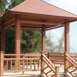 قالب بثق البلاستيك الخشبي PE