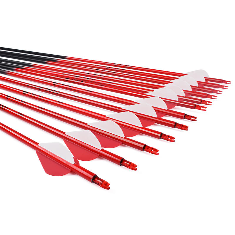 سهام الرماية لإطلاق النار المستهدف