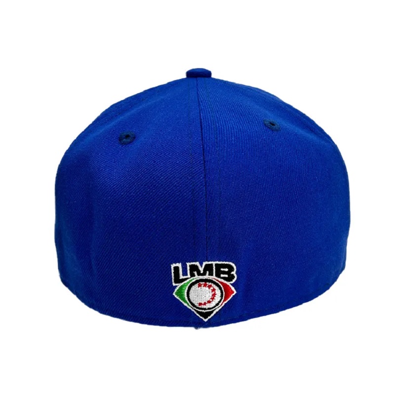 قبعة جديدة تبيع العلامة التجارية الساخنة بالجملة المليئة قبعة 6 لوحة Hip Hop Snapback Cap