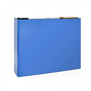 GOTION 3.2V 50A LIFEPO4 PRISMATAC CELL SOLAR SODAGE STAGES