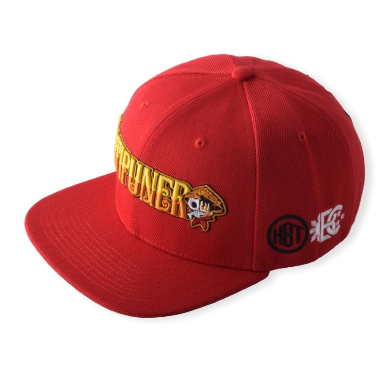 HST Brand Factory Direct Direct 6 لوحات تضغط على Hip Hop Snapback Hat Rich Design 3D Logo Logo Flat Brim Cap