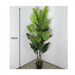 النباتات القاعدية