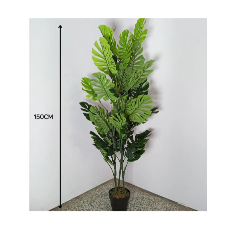 النباتات القاعدية