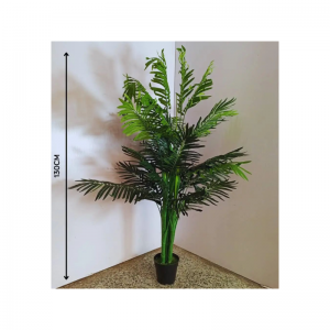 النباتات القاعدية