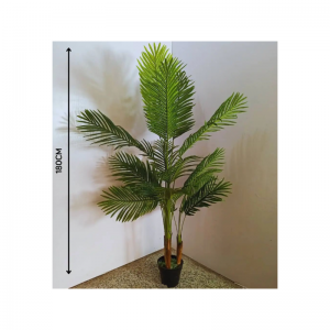 النباتات القاعدية