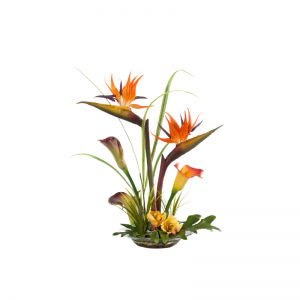 الأكثر مبيعا