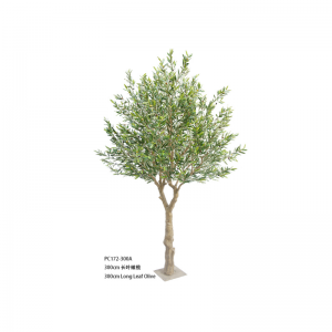 شجرة أوليفر Ⅱ