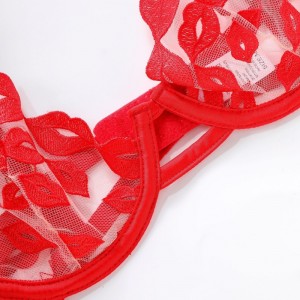 مثير الملابس الداخلية - فائقة-رقيقة ، مع تطريز الشفاه الأحمر والدانتيل. هو - هي\\مجموعة صدرية للثديين الكبيرة التي تجعلها تبدو أصغر ...