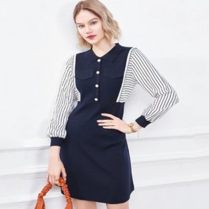 في وقت مبكر من السقوط الصغير العكسي المتماسكة نصف كارديجان