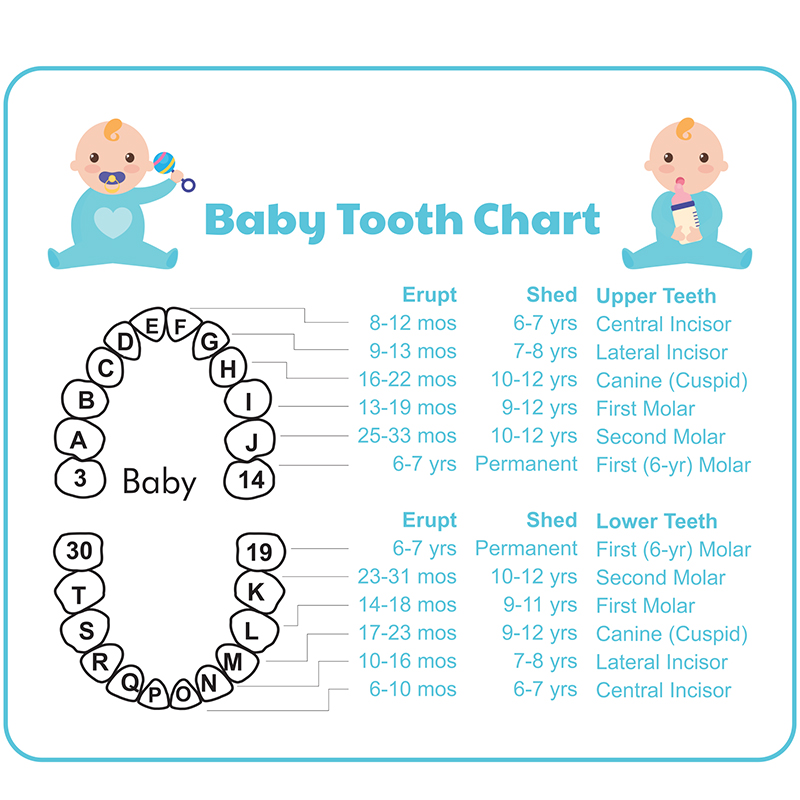 1657695713.jpg 1.jpg