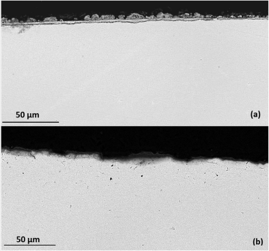 1630043891.png 图片6.png