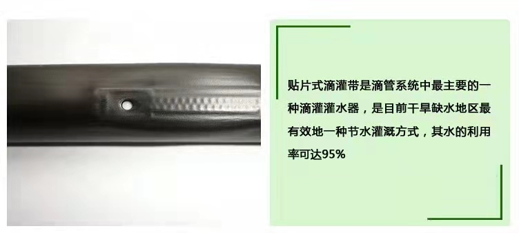 1618580231.jpg 1.jpg